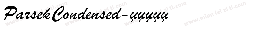 Parsek Condensed字体转换